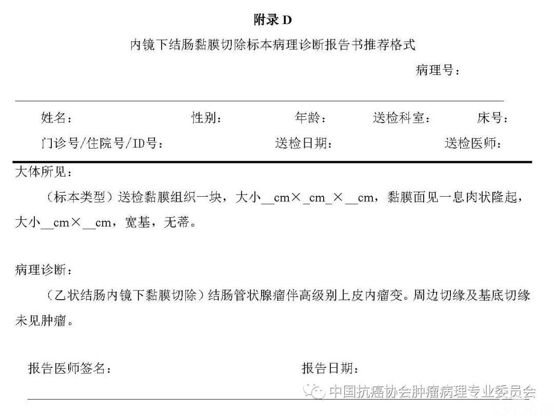 肿瘤病理诊断规范 第9部分:结直肠癌病理诊断规范