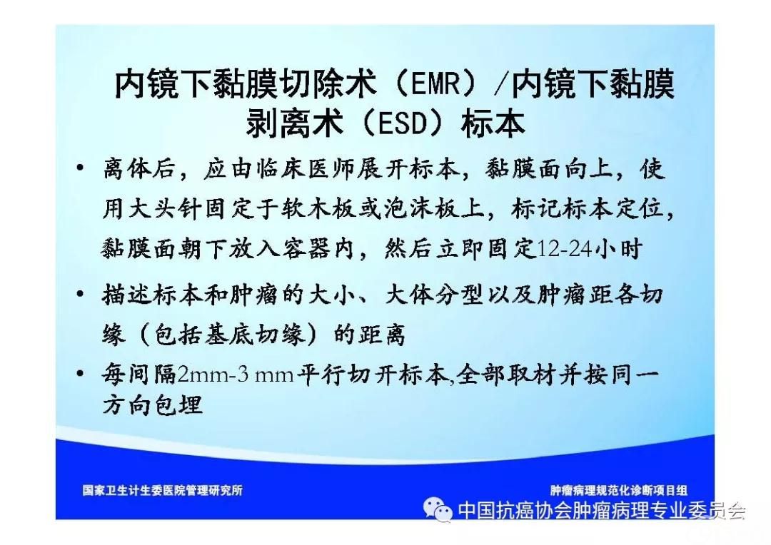 肿瘤病理诊断规范 第9部分:结直肠癌病理诊断规范