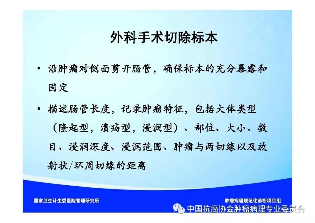 肿瘤病理诊断规范 第9部分:结直肠癌病理诊断规范