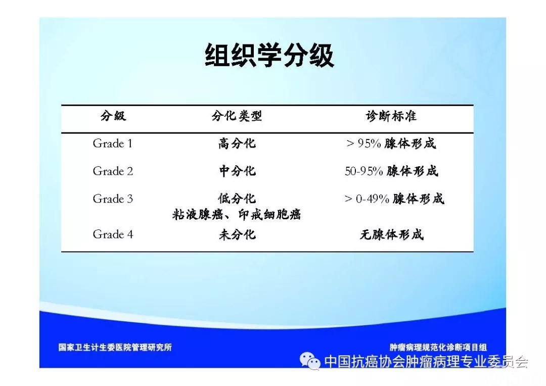 肿瘤病理诊断规范 第9部分:结直肠癌病理诊断规范