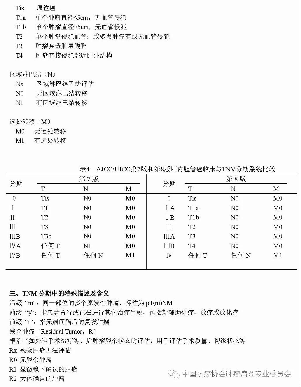 肿瘤病理诊断规范 第8部分:肝癌病理诊断规范