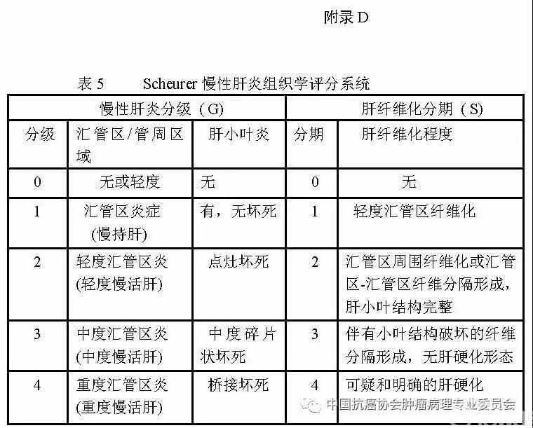 肿瘤病理诊断规范 第8部分:肝癌病理诊断规范