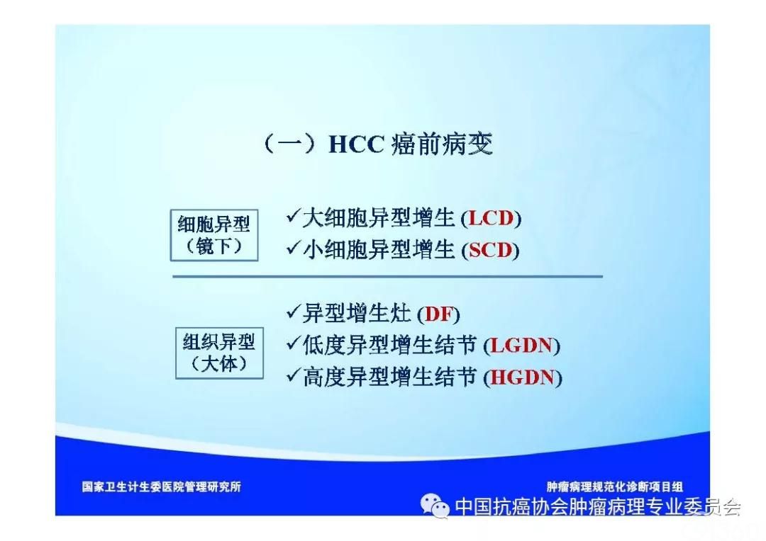 肿瘤病理诊断规范 第8部分:肝癌病理诊断规范