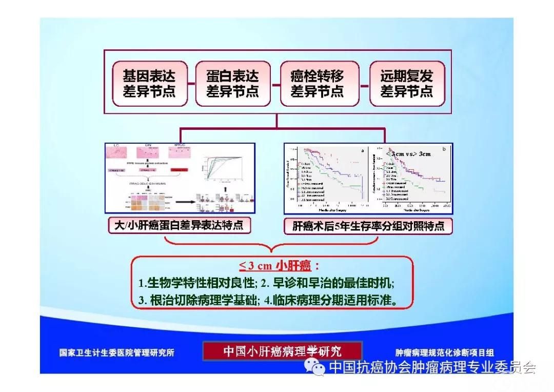 肿瘤病理诊断规范 第8部分:肝癌病理诊断规范