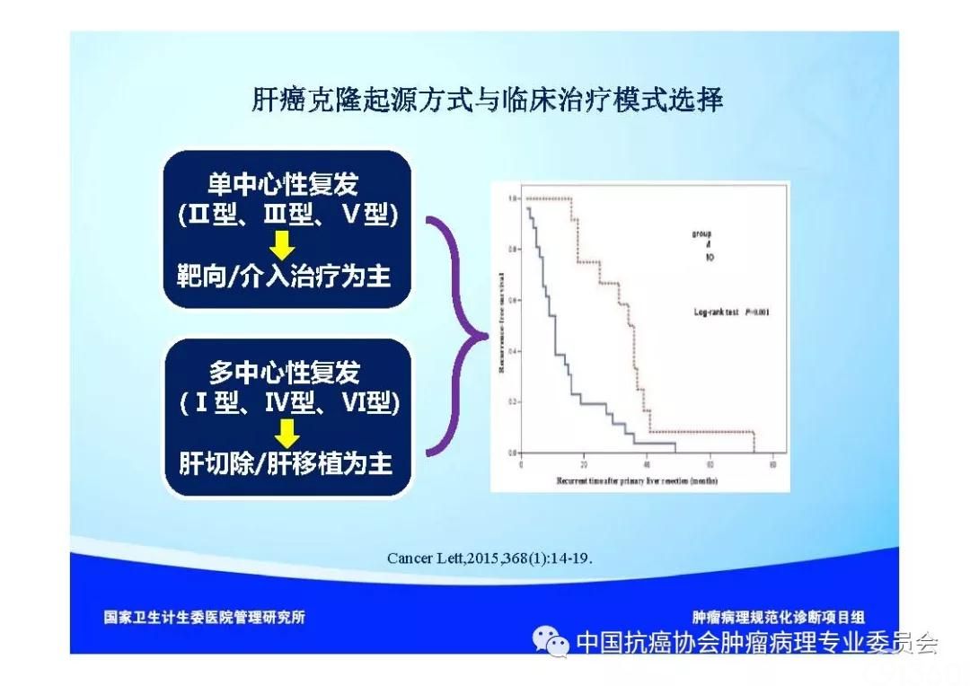 肿瘤病理诊断规范 第8部分:肝癌病理诊断规范