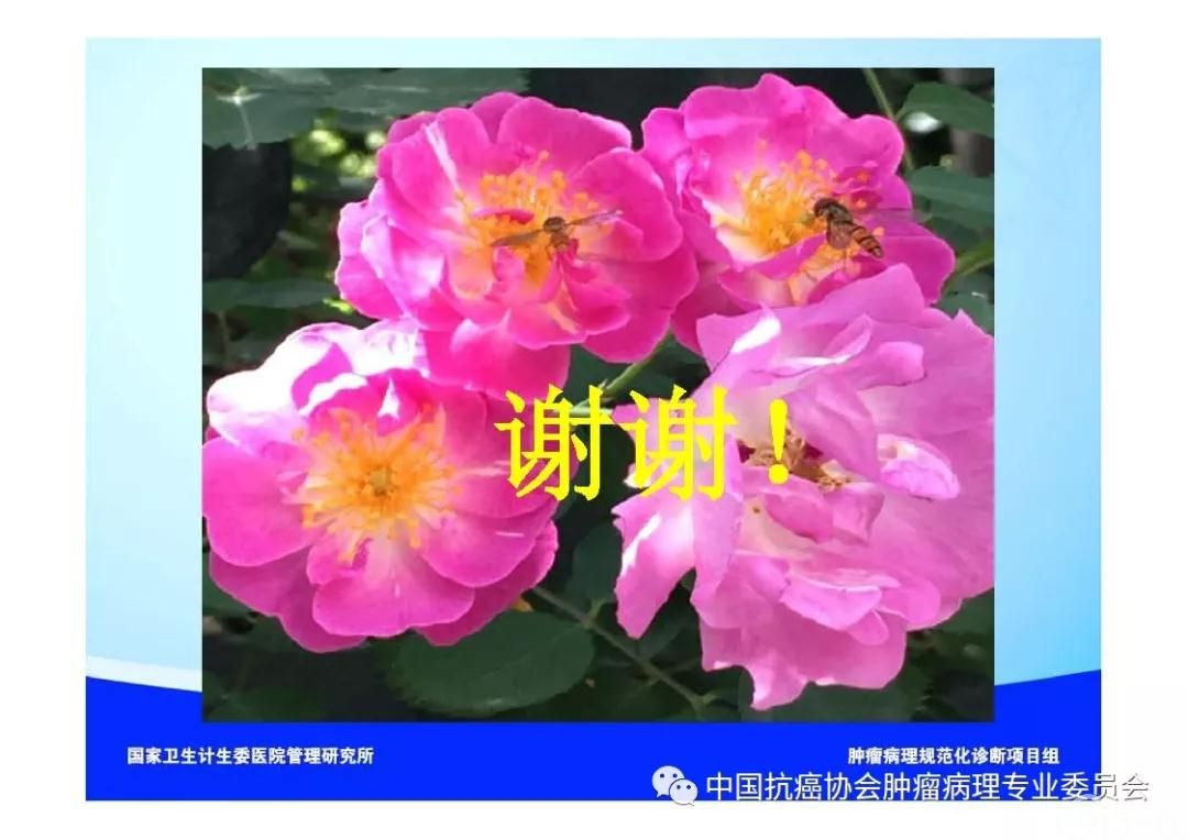肿瘤病理诊断规范 第8部分:肝癌病理诊断规范