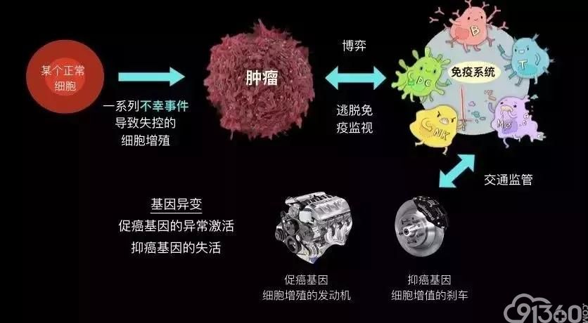 关于癌症,你应该知道这些