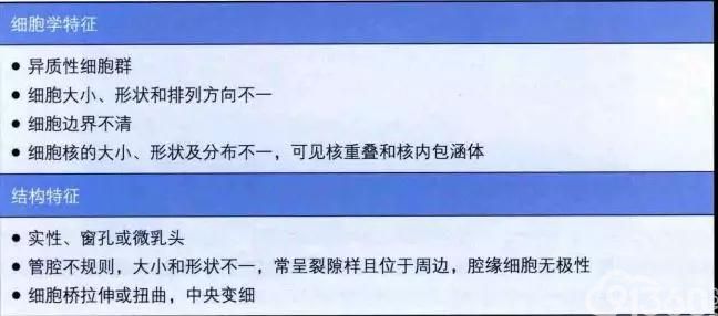 乳腺普通型导管增生与非典型导管增生的区别