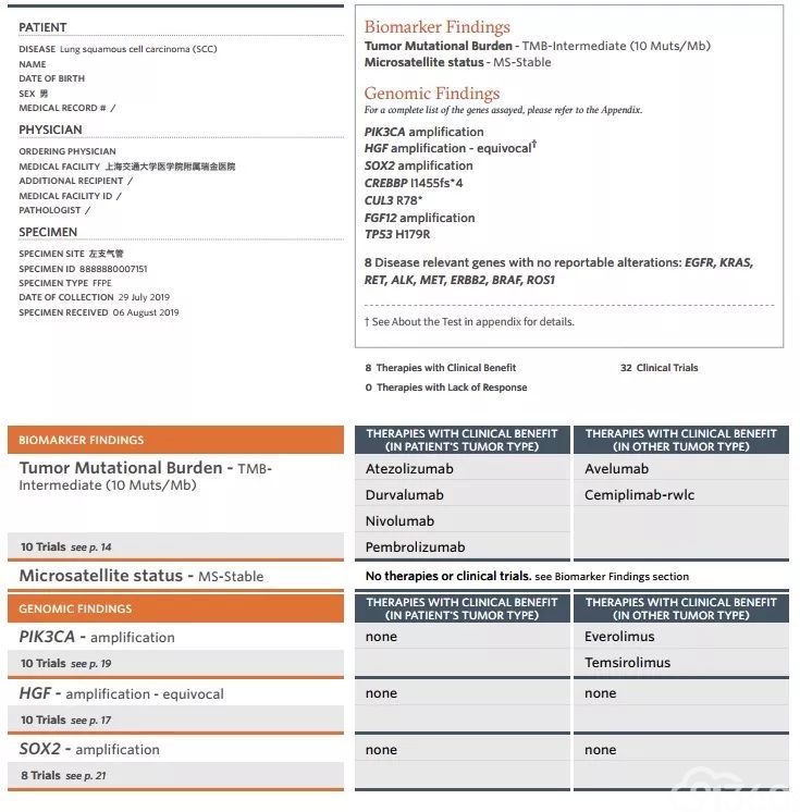 Ngs指导下的肺癌精准治疗案例解析与思考 91360智慧病理网