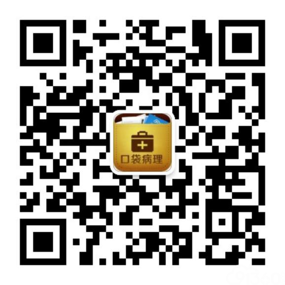 口袋病理