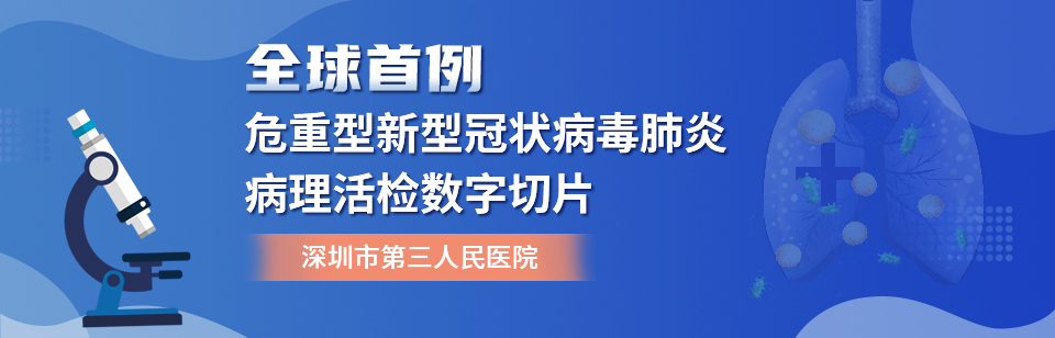 全球首例危重型新型冠状病毒肺炎病理活检数字切片