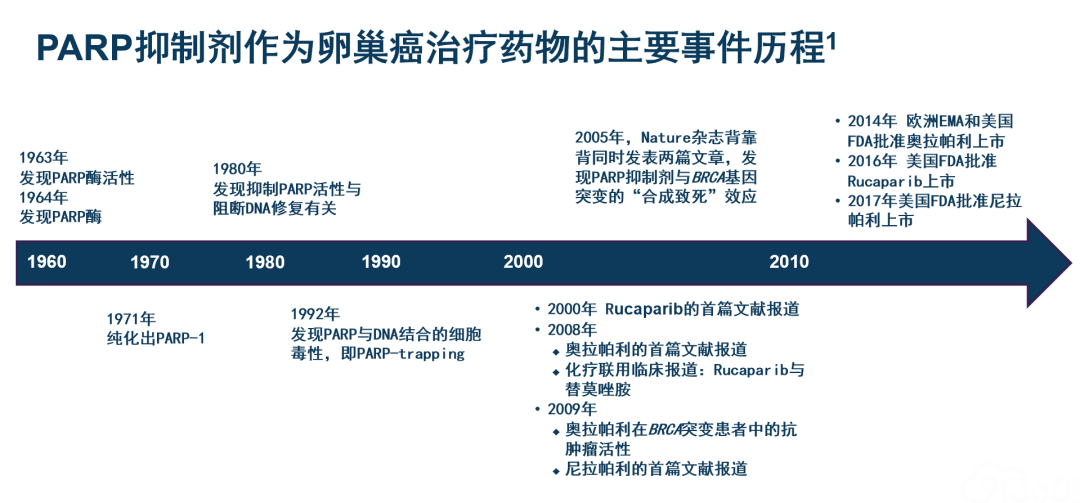 揭秘奥拉帕利的 前世今生 卵巢癌靶向维持治疗突破之