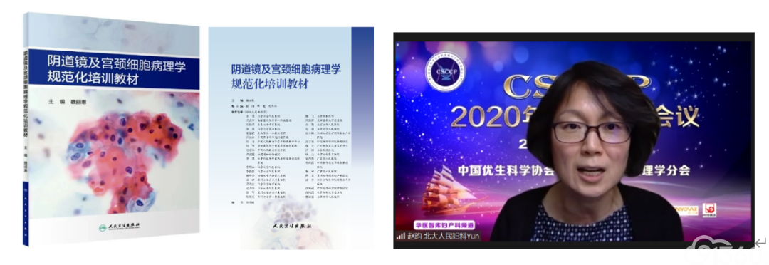 CSCCP2020年常委网络会议纪要