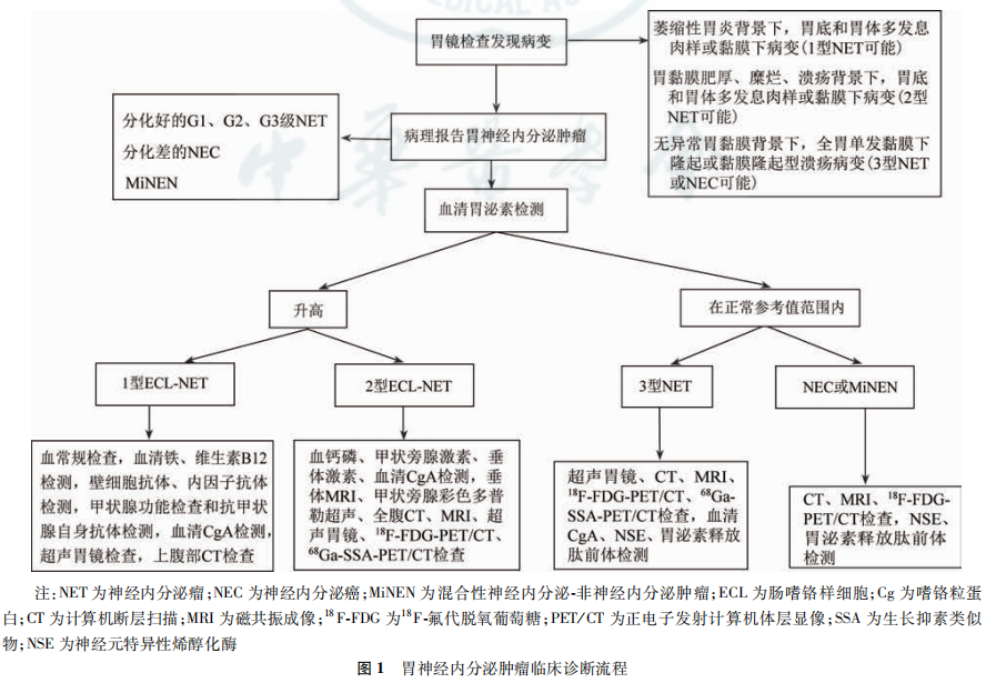 胃肠胰神经内分泌肿瘤诊治专家共识 ２０２０ 广州