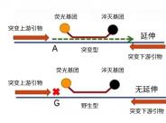 article-list